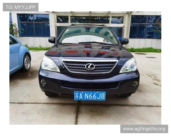 新濠真人app安全保障措施详解，确保玩家个人信息与资金安全的最佳解决方案