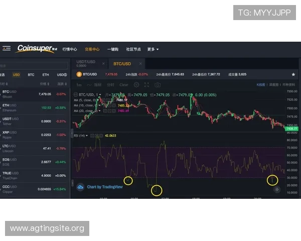 深入分析ag捕鱼稳赚方法帮助玩家稳定获利的技巧指南