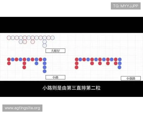 掌握百家乐大眼仔路的规律与技巧实现稳定盈利的实用攻略指南